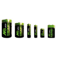 Piles alcalines